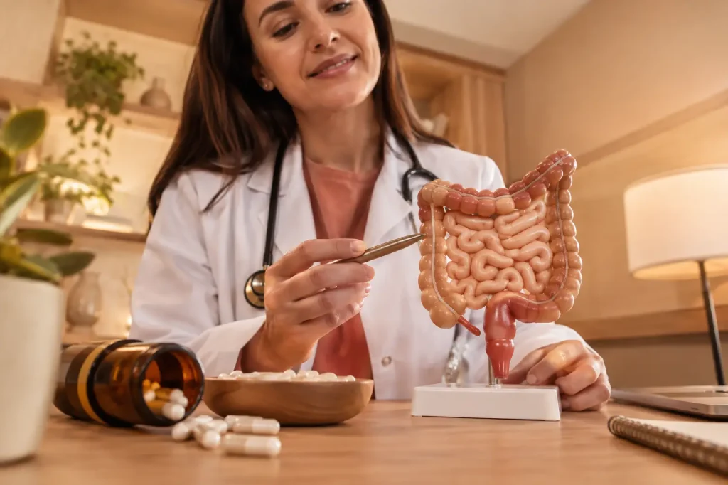 Revisão médica sobre probióticos intestinais